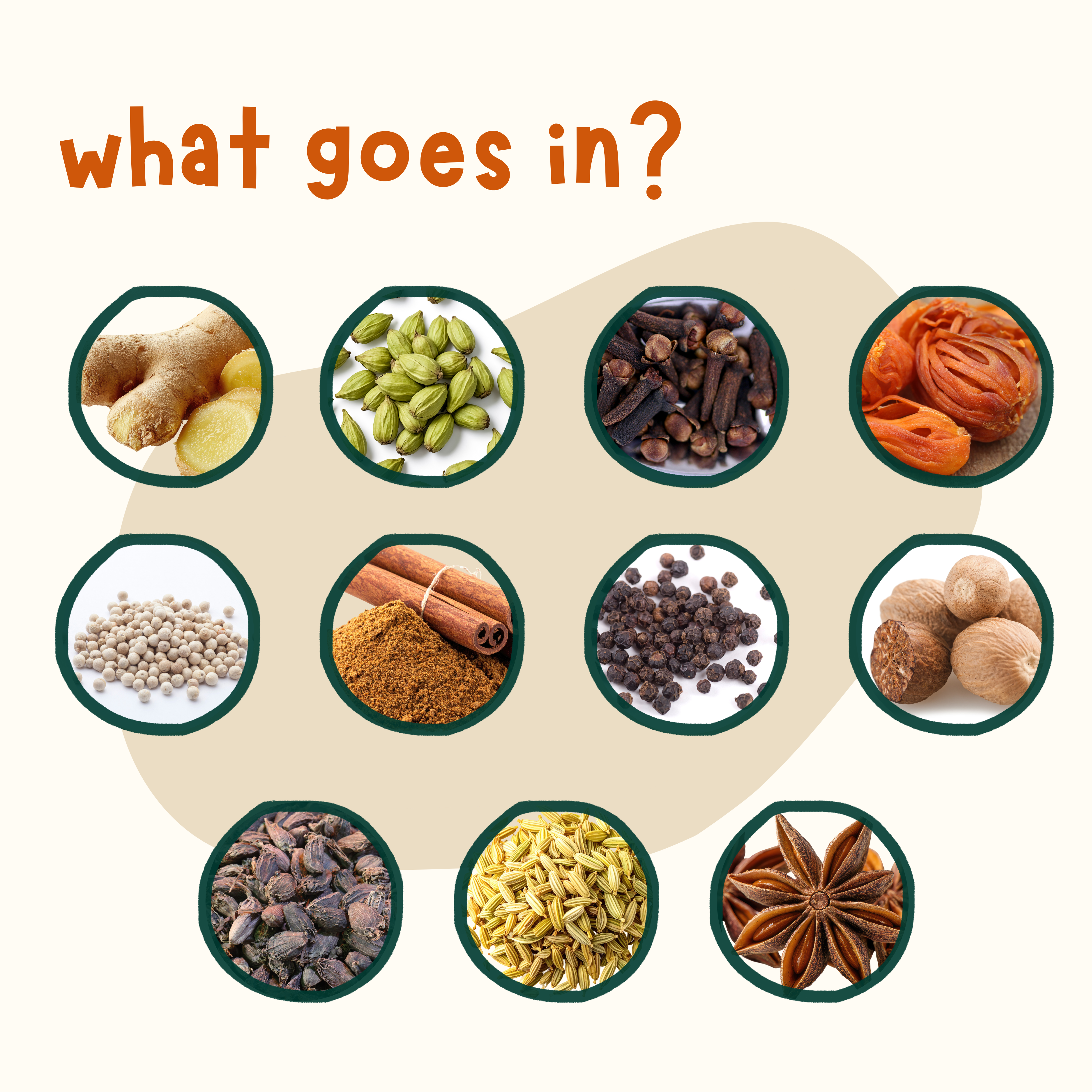 Ginger Root Chai Spice